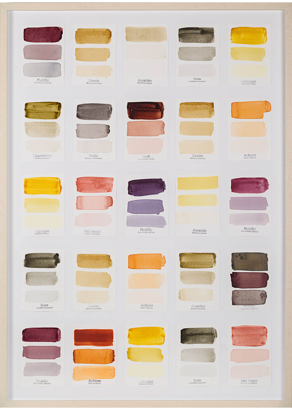 3 ESTUDIO color lab SLIDER V IMG_5926.jpg